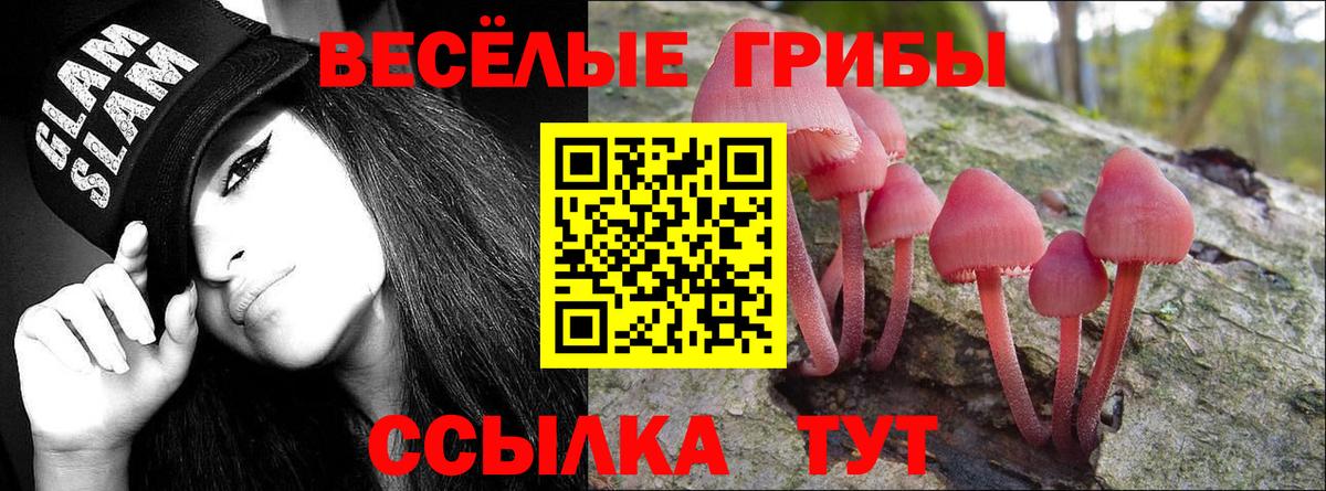 Псилоцибиновые грибы Cubensis  Псилоцибиновые грибы мицелий  Вход с VPN  Мелеуз 